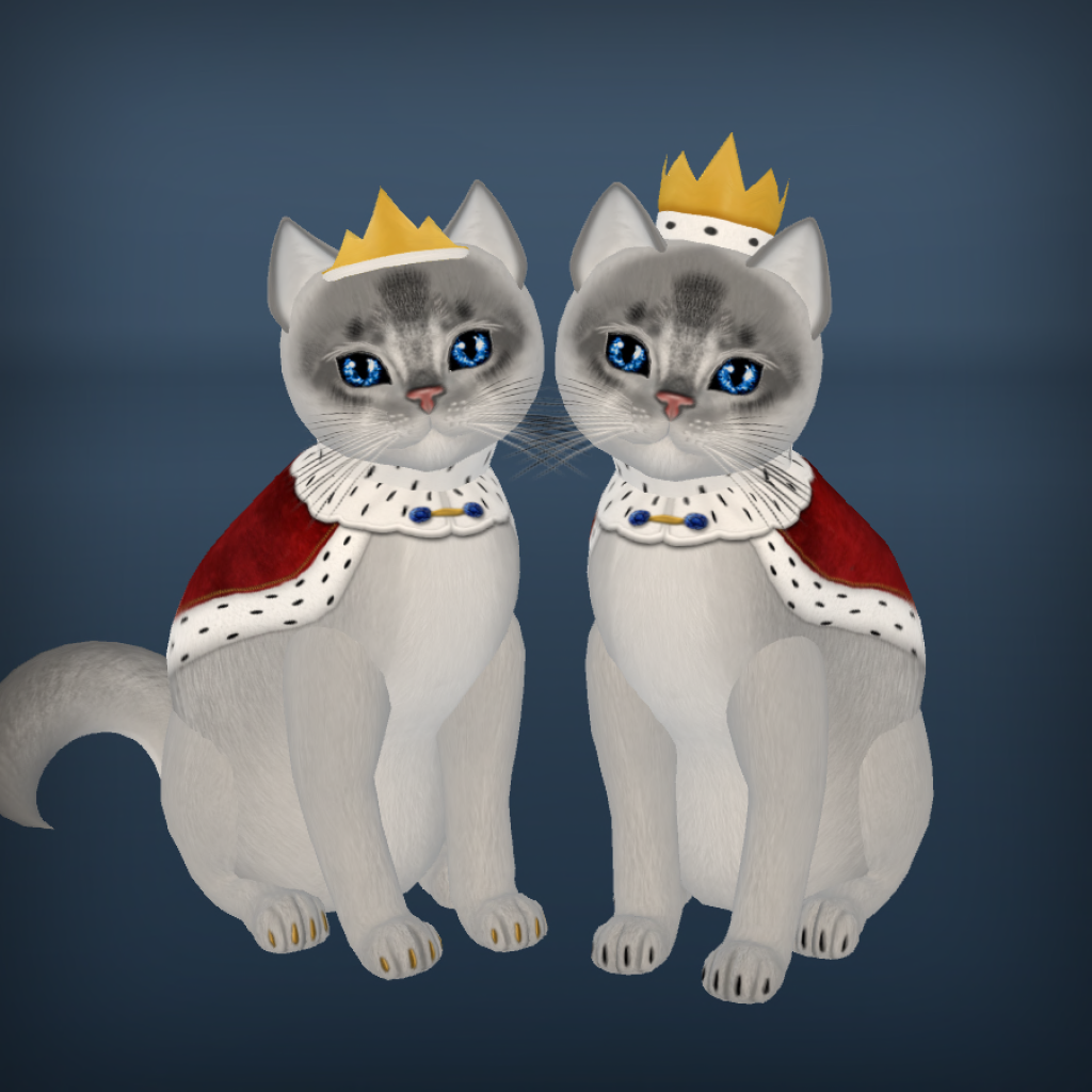 royal kittens