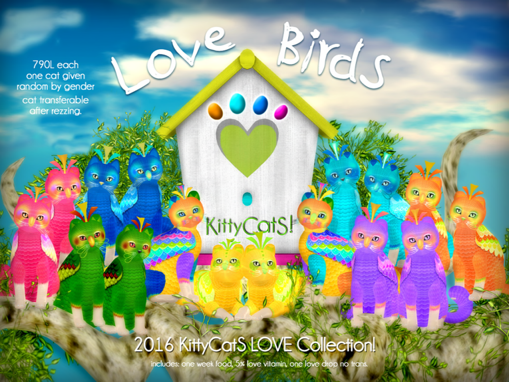 [Image: KittyCatS-Love-Birds-Ad-2016-1024x768.png]