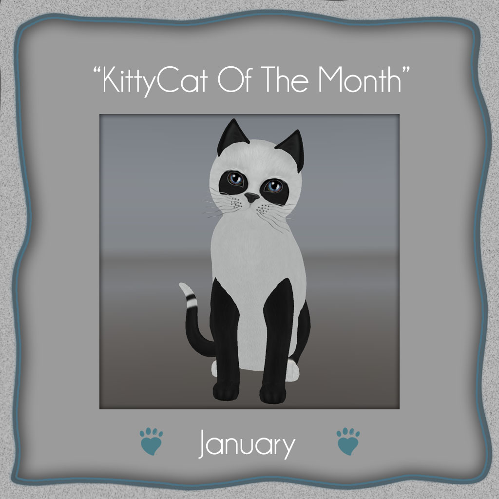 [Image: kittycat-of-the-month-january-2017.jpg]