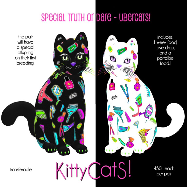 KittyCatS! is at Uber’s 3rd Birthday Event! KittyCatS! News