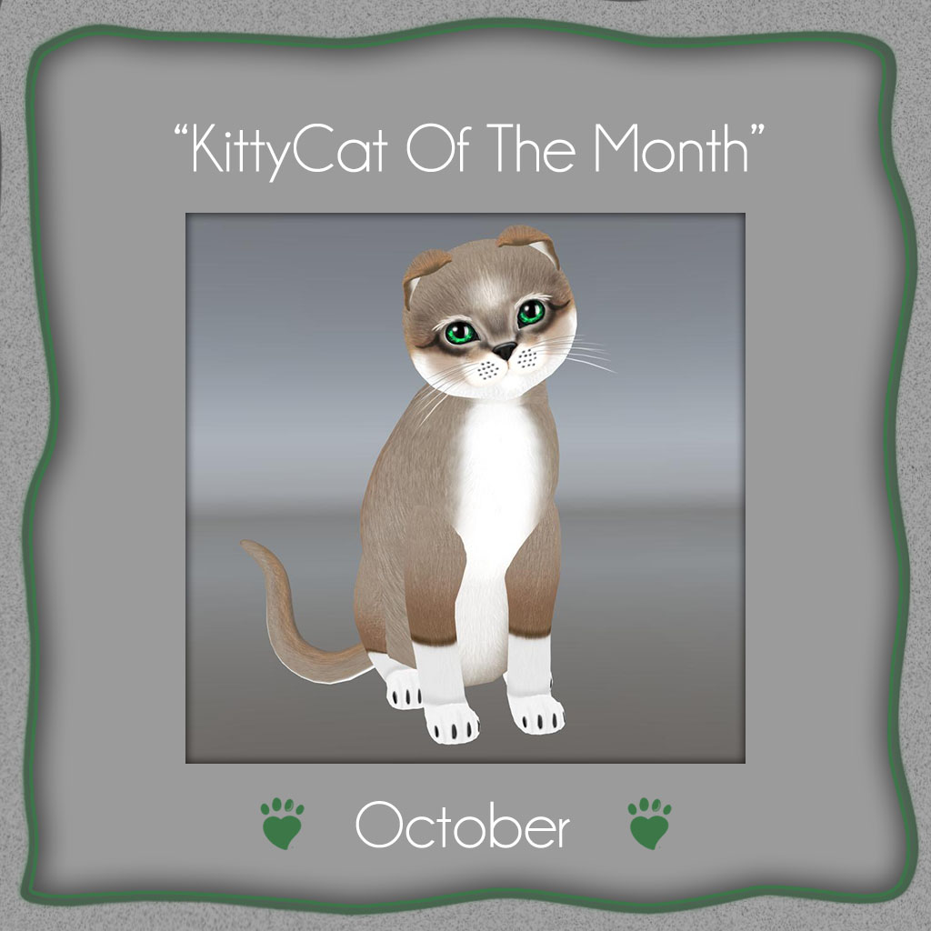 [Image: KittyCat-of-the-Month-October-2017.jpg]