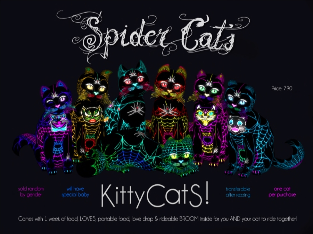 [Image: spidercats.jpg]