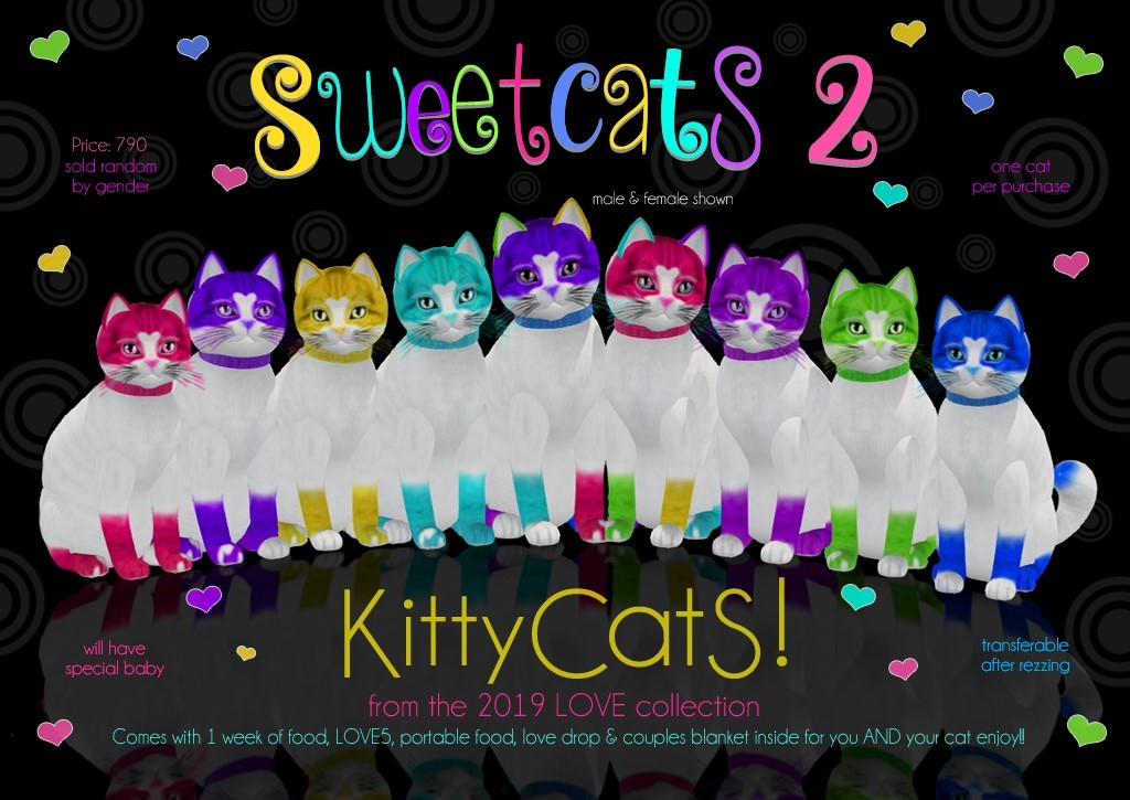 KittyCatS! SweetCatS! 2 Ad
