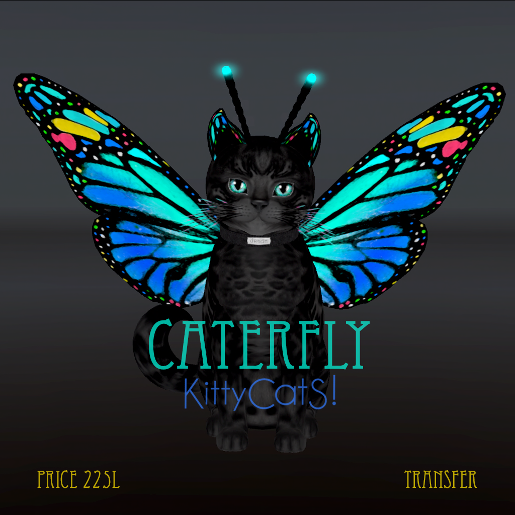 KittyCatS! CaterFly Bengal Black