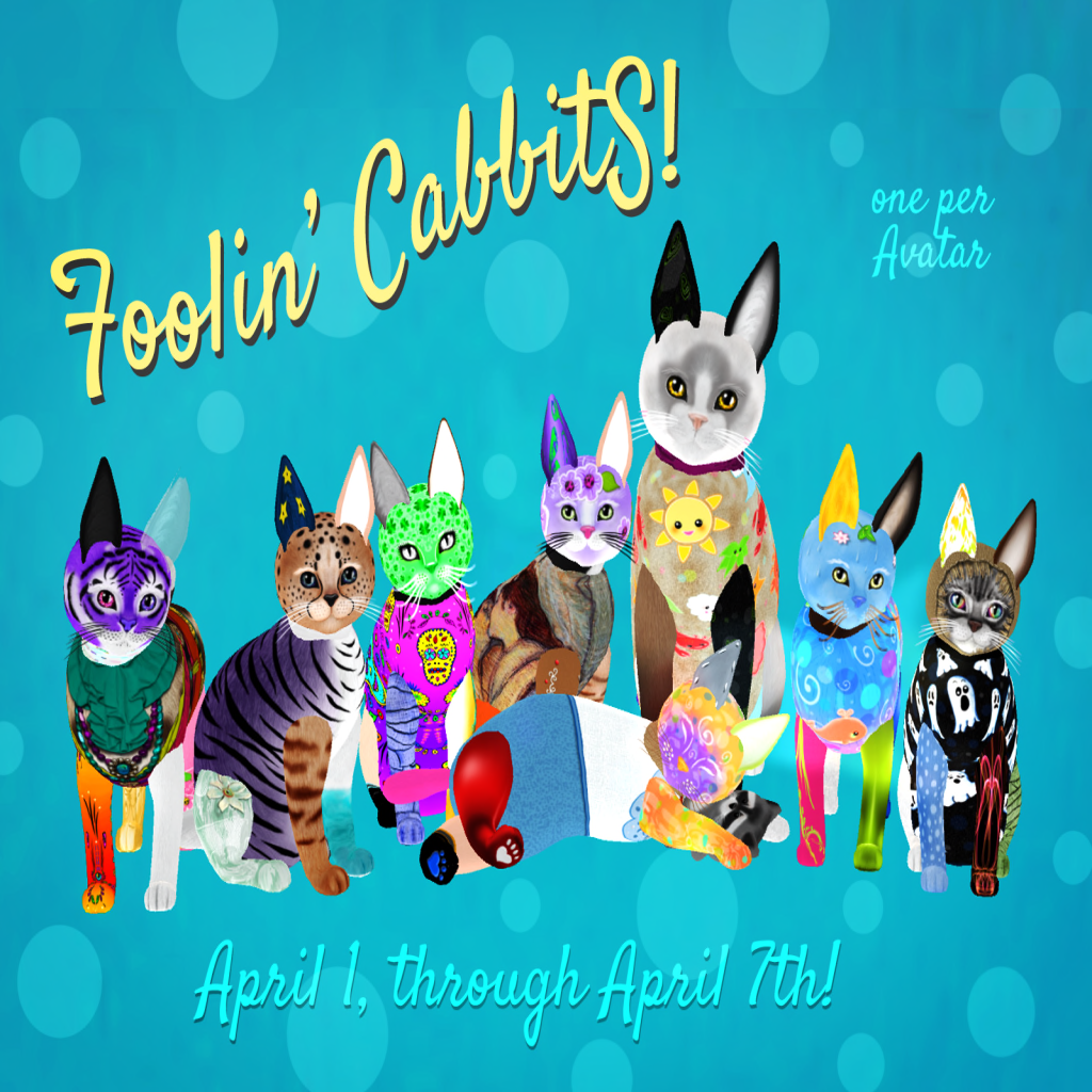 KittyCatS! - Foolin' CabbitS! are comin'