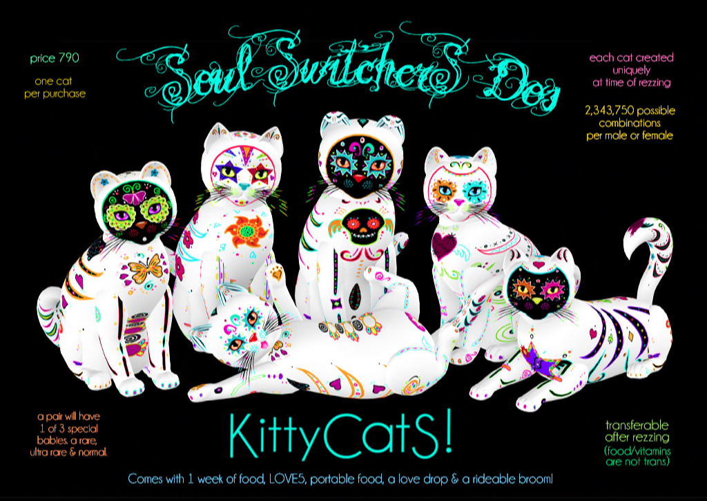 KittyCatS!-Soul-Switchers-Dos---Final-Ad