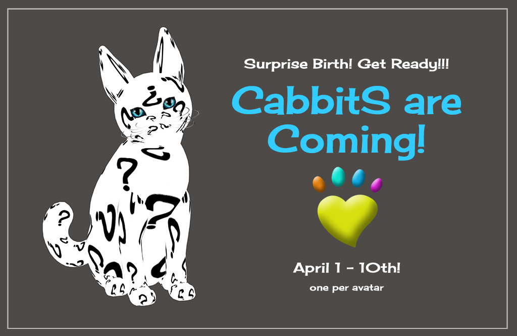 KittyCatS_-_CabbitS_are_coming_Surprise_Birth