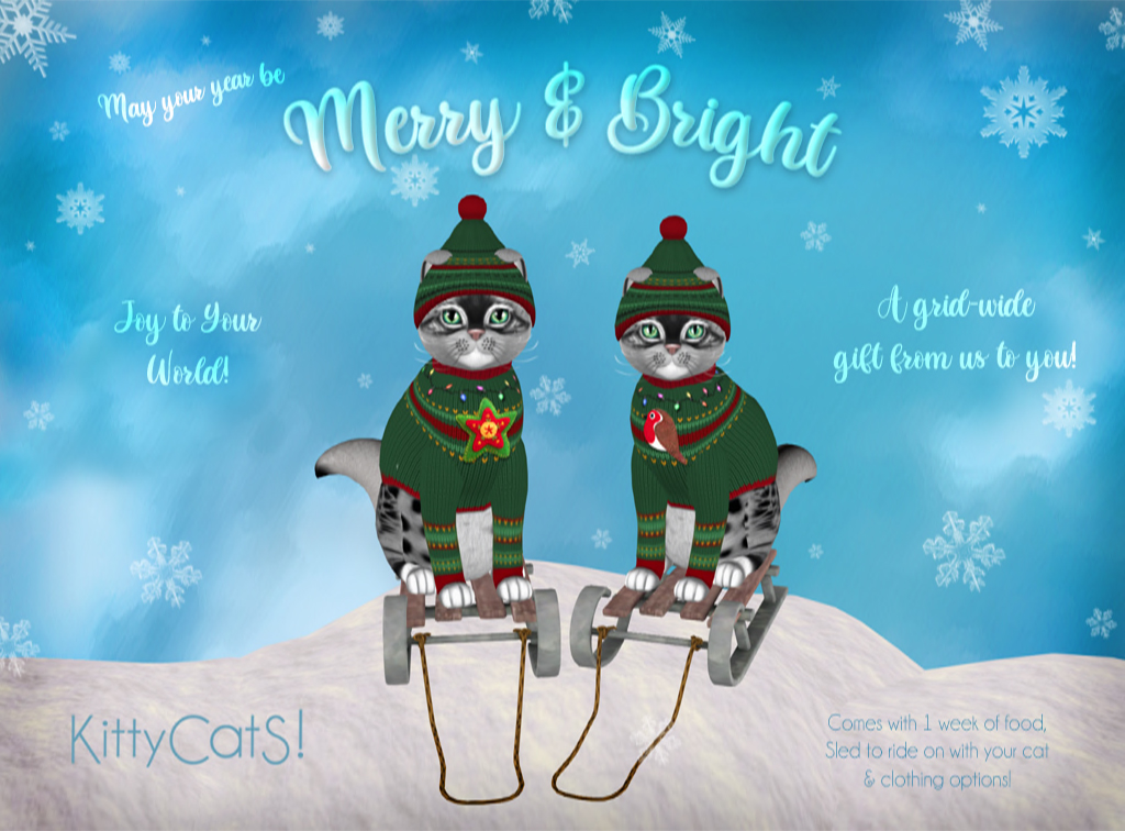 Christmas 2023 Gift Pair KittyCatS