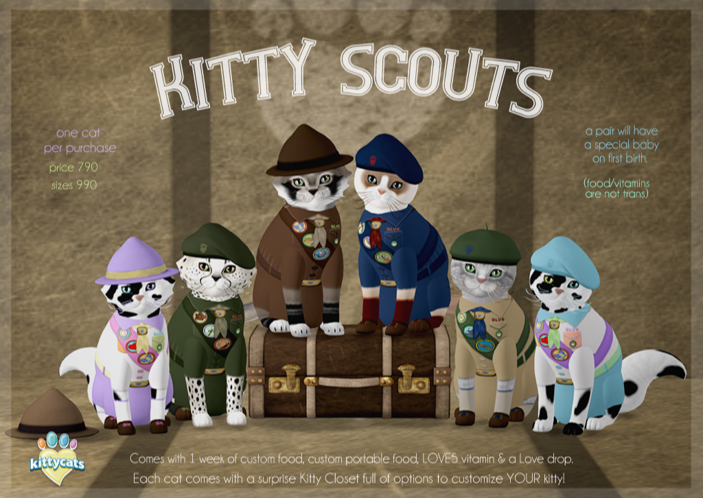 [Image: KittyScoutS-AD-1.jpg]