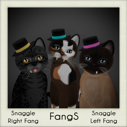 [Image: KittyCatS-FangS-Tiny-HatS.jpg]