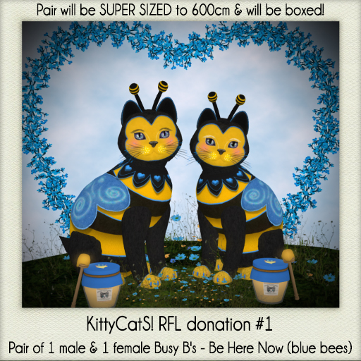 KittyCatS! RFL donation #1