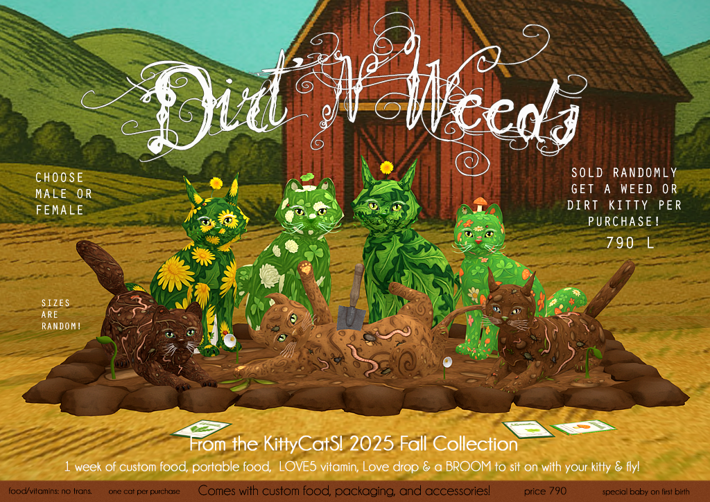 KittyCatS! HaunteD Dirt N WeeDs Full Ad copy