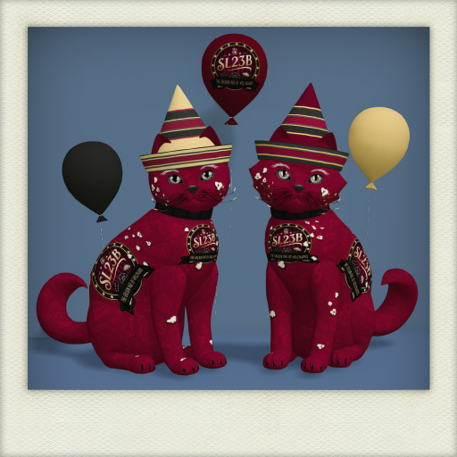 SL23B Pair