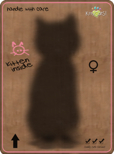 Box Trait
