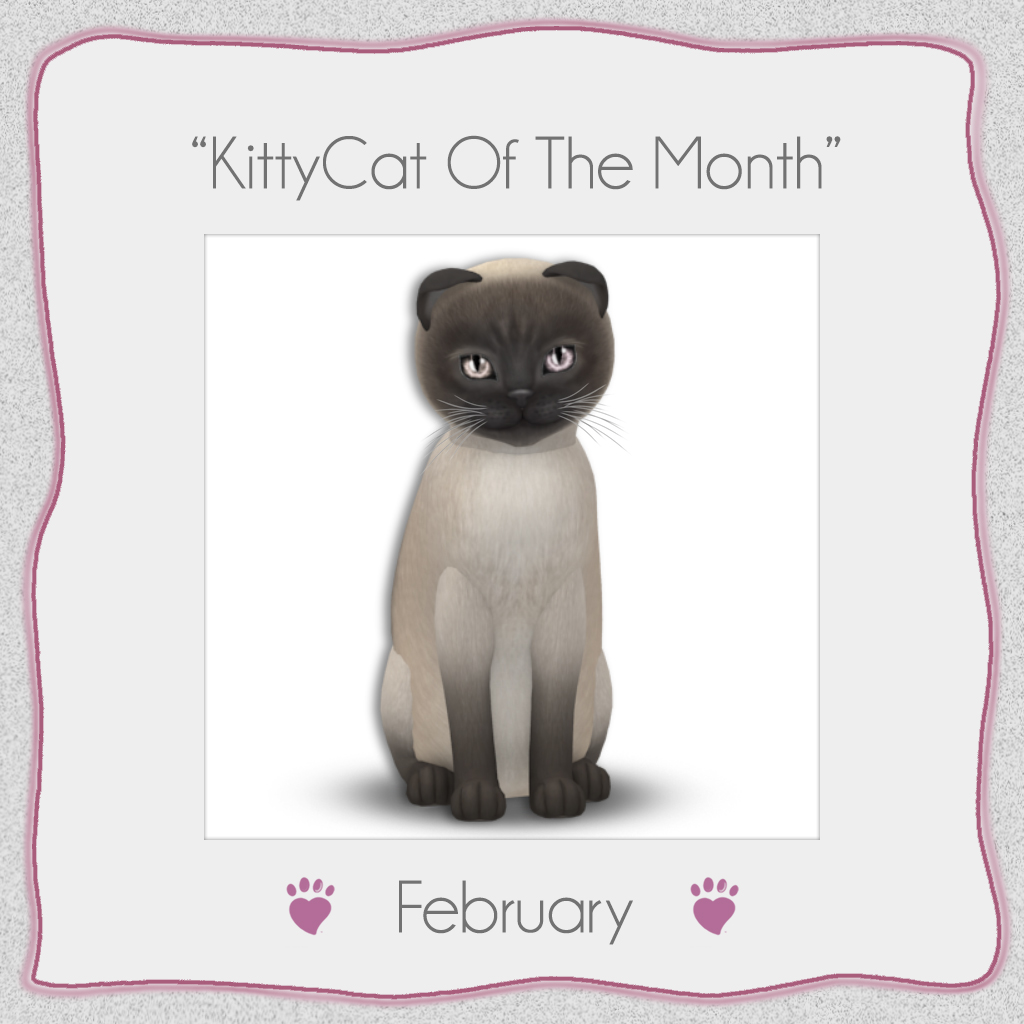 click for larger image!