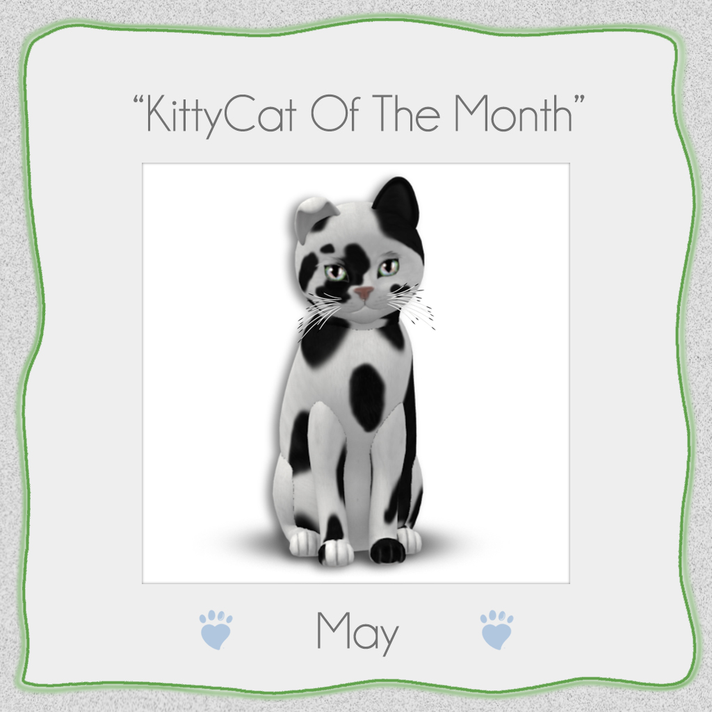 click for larger image!