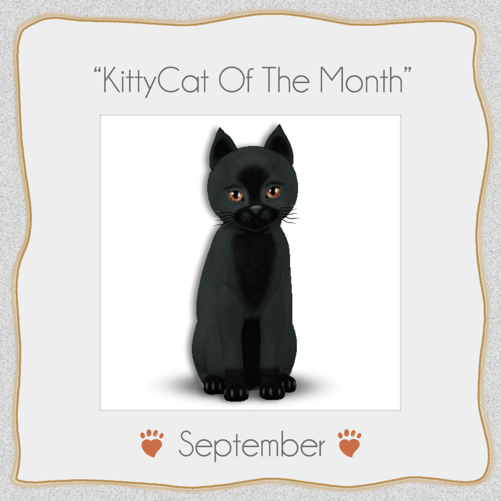 click for larger image!